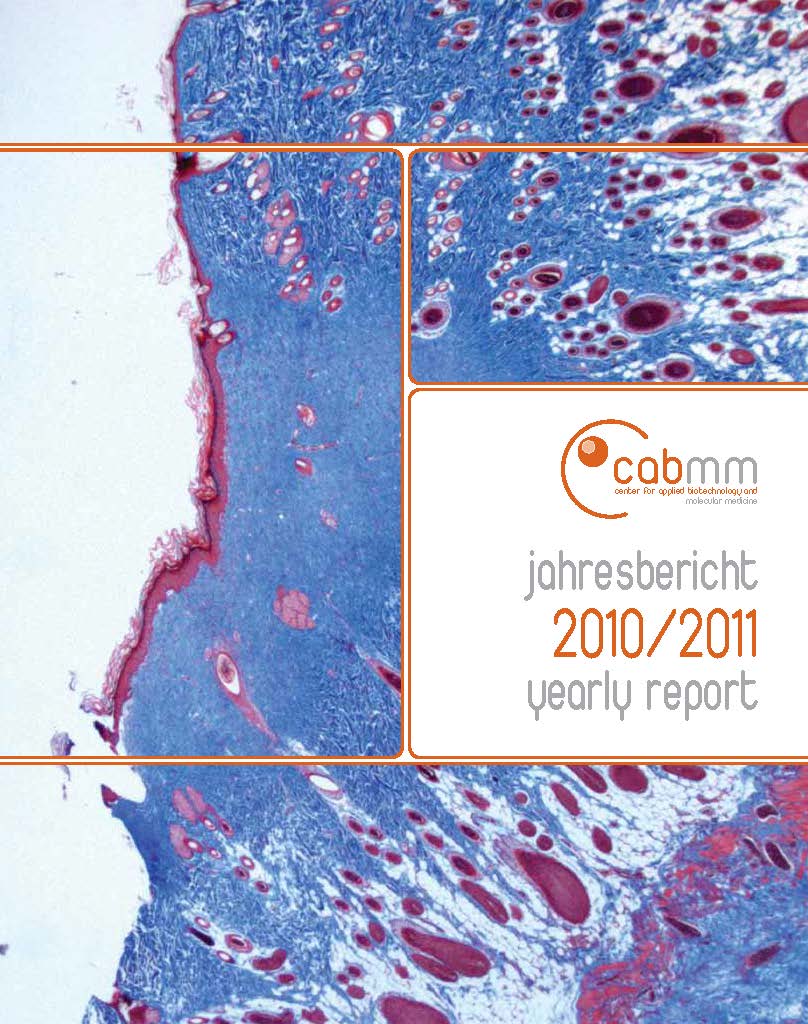 Titelseite CABMM Report 2010/2011